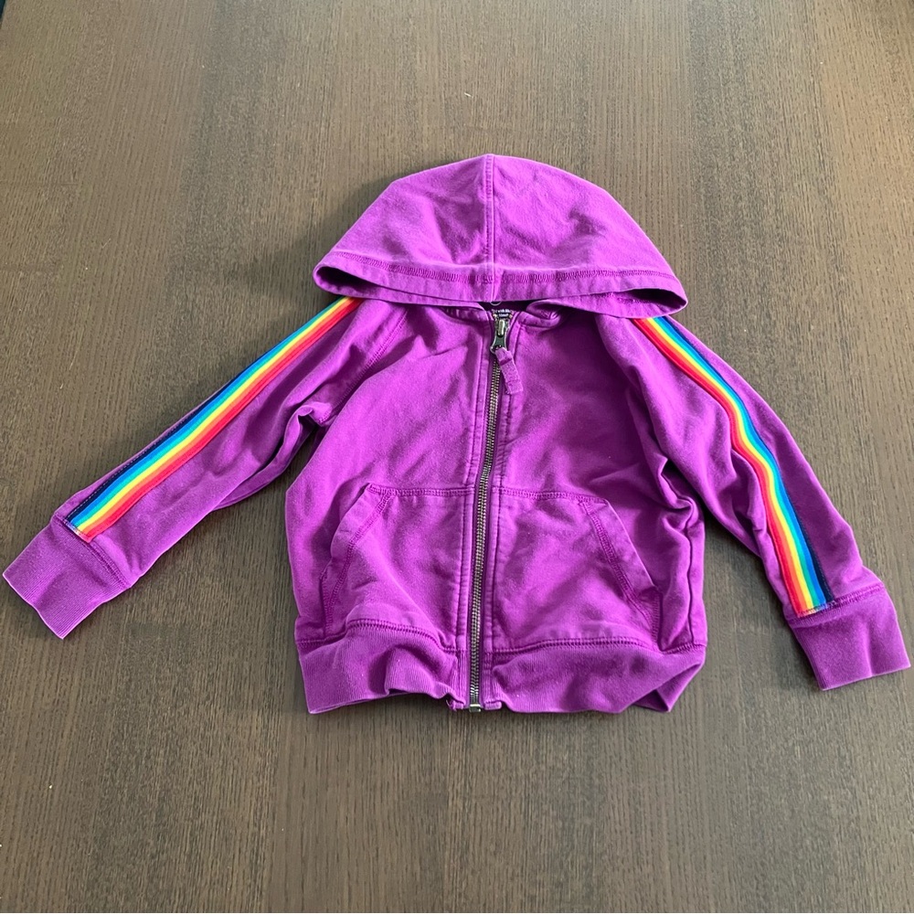 Primary Purple Hoodie with Rainbow Sleeve Stripes